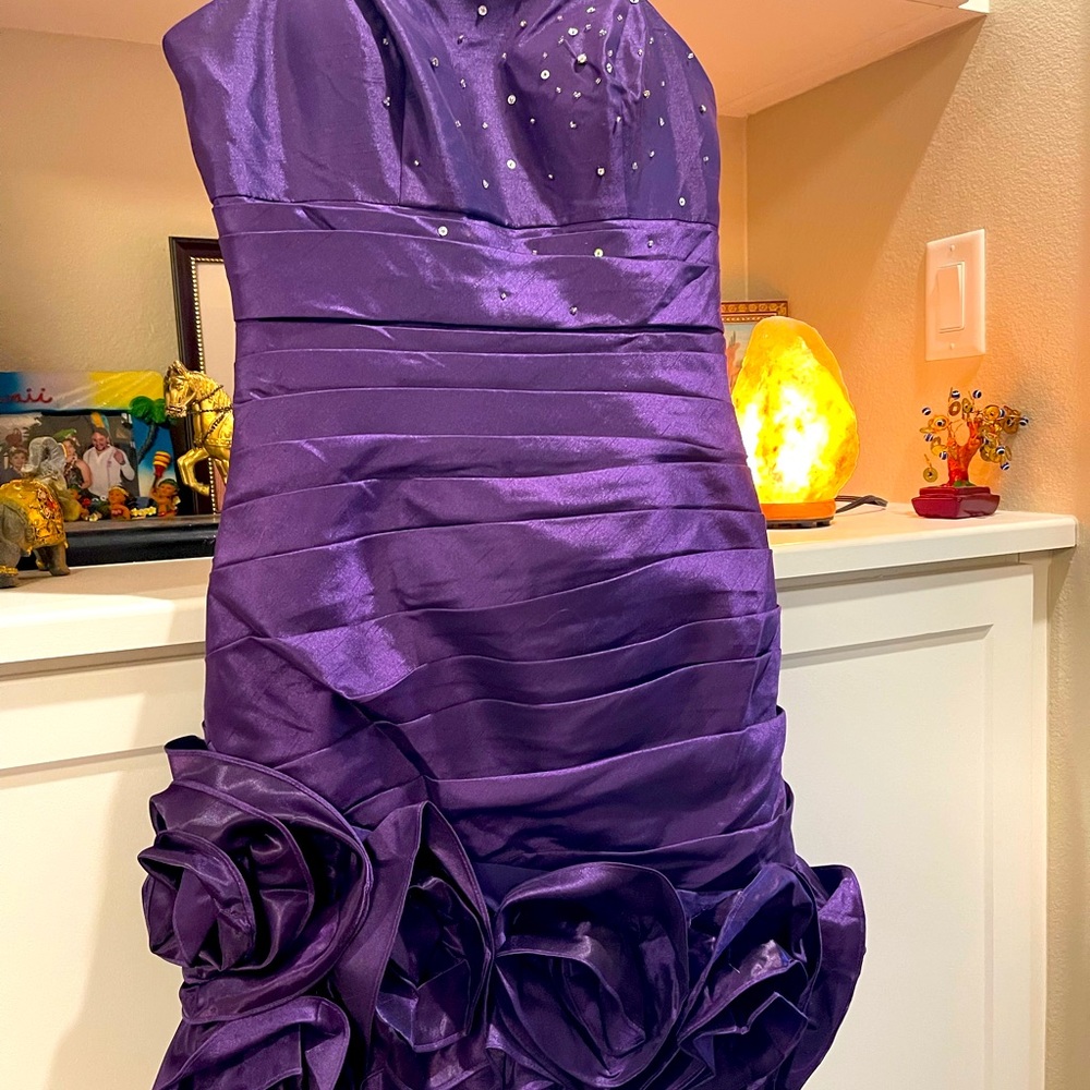 Cinderella divine dress